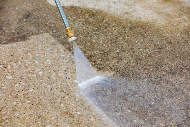 Animal Enclosure Cleaning in Waynesburg, OH